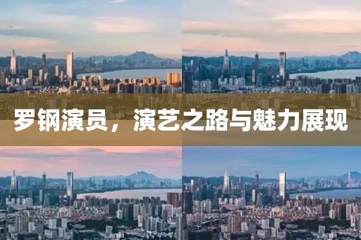 罗钢演员，演艺之路与魅力展现