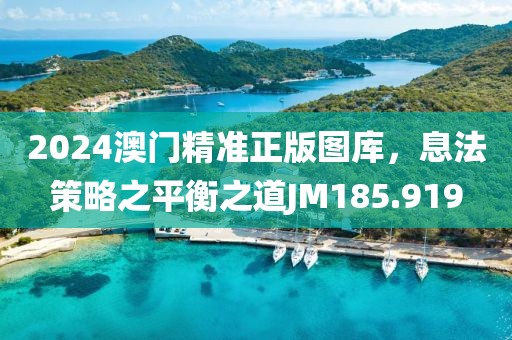 2024澳门精准正版图库，息法策略之平衡之道JM185.919