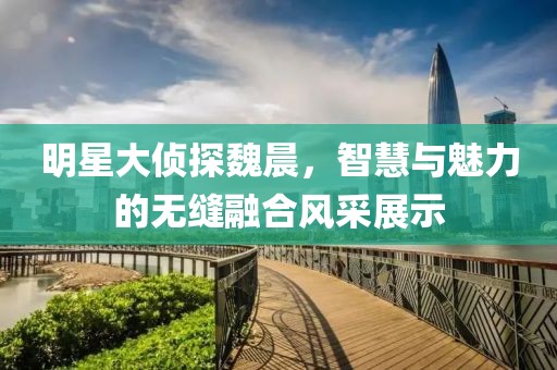 明星大侦探魏晨，智慧与魅力的无缝融合风采展示