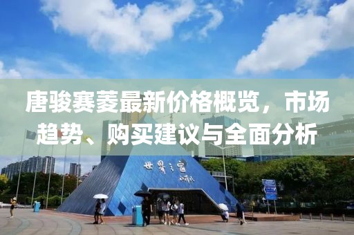 唐骏赛菱最新价格概览，市场趋势、购买建议与全面分析