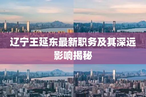 辽宁王延东最新职务及其深远影响揭秘
