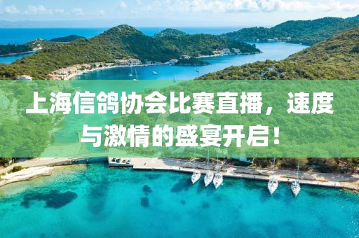 上海信鸽协会比赛直播，速度与激情的盛宴开启！
