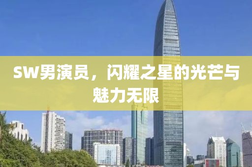 SW男演员，闪耀之星的光芒与魅力无限