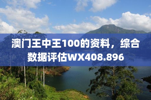 澳门王中王100的资料，综合数据评估WX408.896