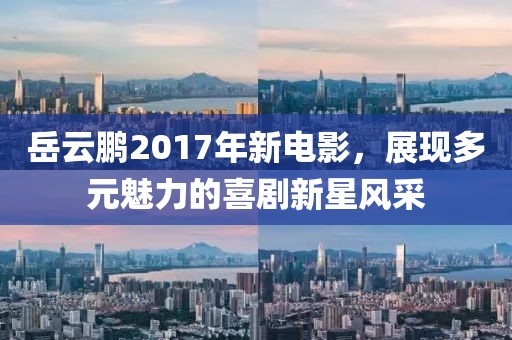 岳云鹏2017年新电影，展现多元魅力的喜剧新星风采