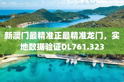 新澳门最精准正最精准龙门，实地数据验证DL761.323