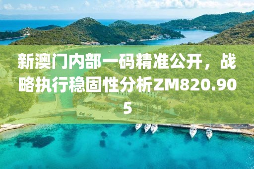 新澳门内部一码精准公开，战略执行稳固性分析ZM820.905