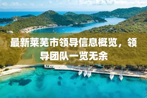 最新莱芜市领导信息概览，领导团队一览无余