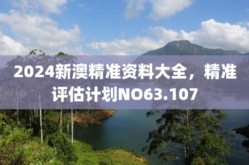 2024新澳精准资料大全，精准评估计划NO63.107