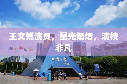 王文博演员，星光熠熠，演技非凡