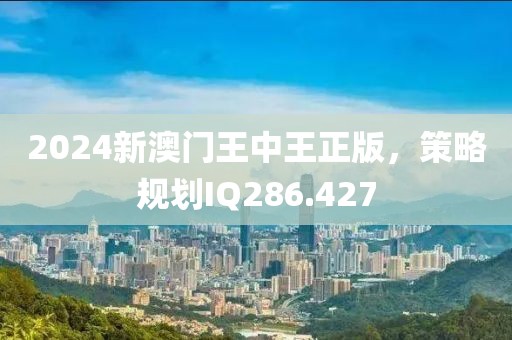 2024新澳门王中王正版，策略规划IQ286.427