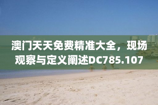 澳门天天免费精准大全，现场观察与定义阐述DC785.107