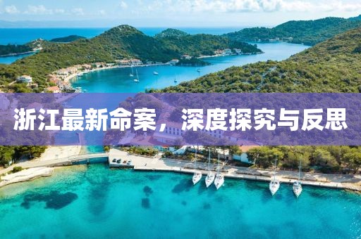 浙江最新命案，深度探究与反思