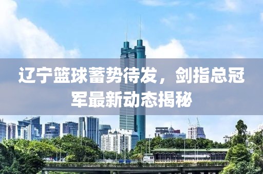 辽宁篮球蓄势待发，剑指总冠军最新动态揭秘