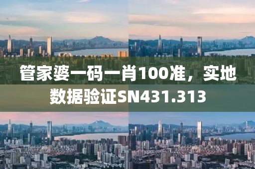 管家婆一码一肖100准，实地数据验证SN431.313