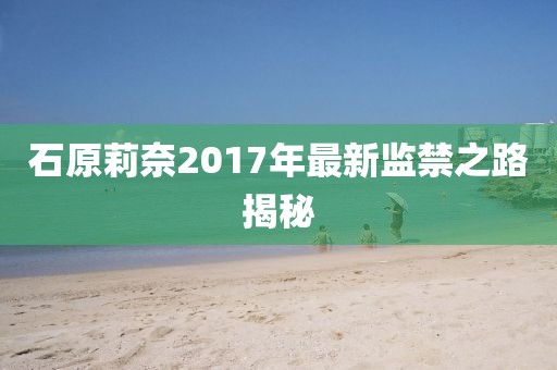 石原莉奈2017年最新监禁之路揭秘