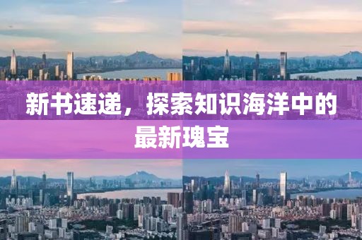 新书速递，探索知识海洋中的最新瑰宝