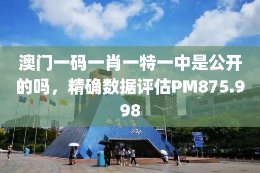 澳门一码一肖一特一中是公开的吗，精确数据评估PM875.998