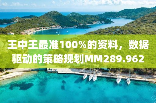 王中王最准100%的资料，数据驱动的策略规划MM289.962