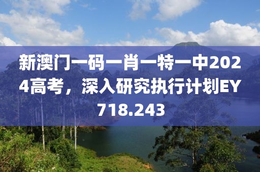 新澳门一码一肖一特一中2024高考，深入研究执行计划EY718.243