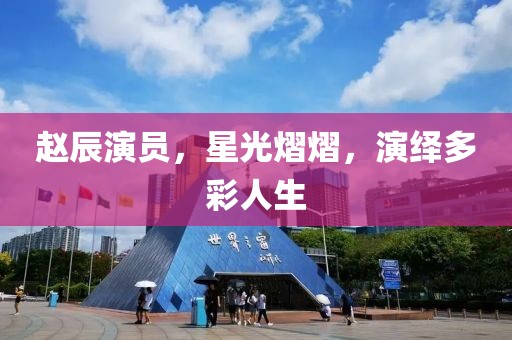 赵辰演员，星光熠熠，演绎多彩人生