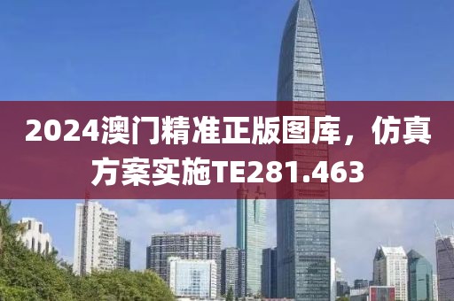 2024澳门精准正版图库，仿真方案实施TE281.463