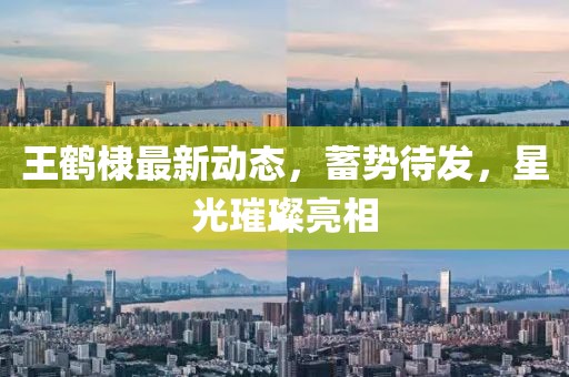 王鹤棣最新动态，蓄势待发，星光璀璨亮相