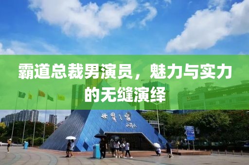 霸道总裁男演员，魅力与实力的无缝演绎