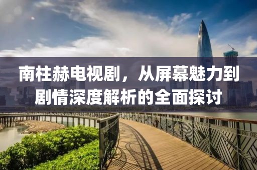 南柱赫电视剧，从屏幕魅力到剧情深度解析的全面探讨