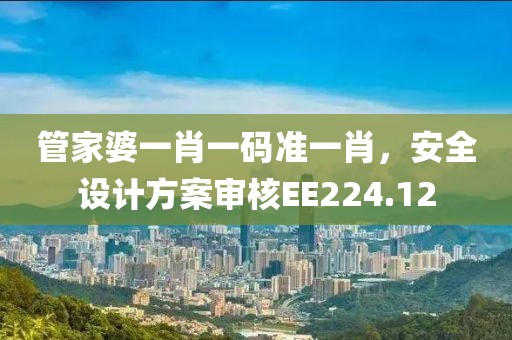 管家婆一肖一码准一肖，安全设计方案审核EE224.12