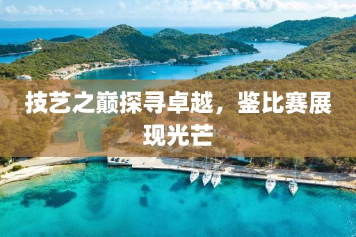 技艺之巅探寻卓越，鉴比赛展现光芒
