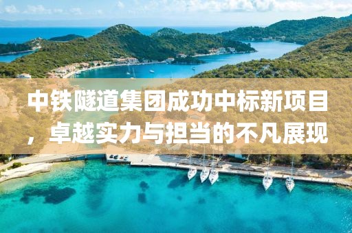 中铁隧道集团成功中标新项目，卓越实力与担当的不凡展现