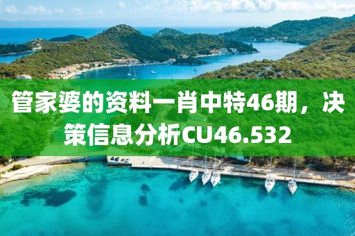 管家婆的资料一肖中特46期，决策信息分析CU46.532