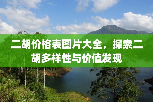 二胡价格表图片大全，探索二胡多样性与价值发现