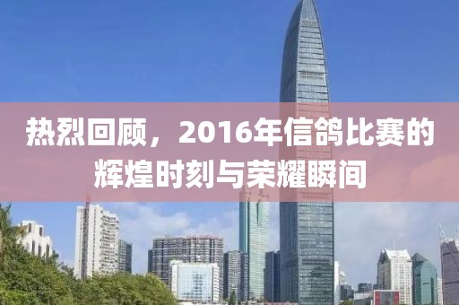热烈回顾，2016年信鸽比赛的辉煌时刻与荣耀瞬间