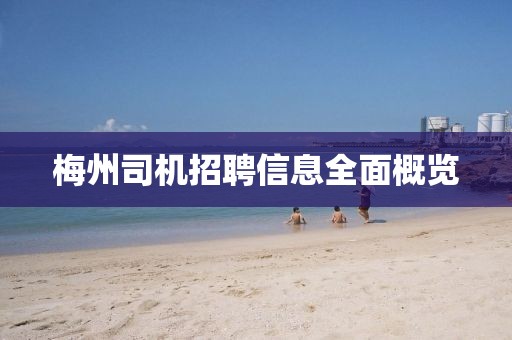 梅州司机招聘信息全面概览