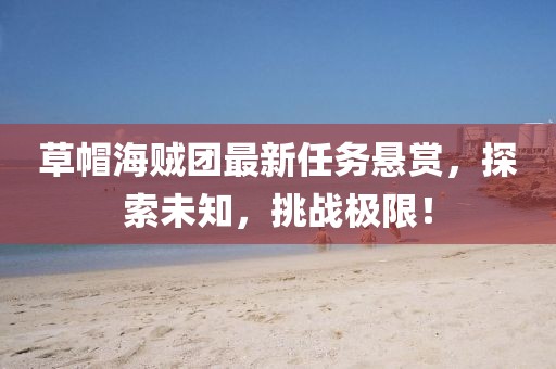 草帽海贼团最新任务悬赏，探索未知，挑战极限！