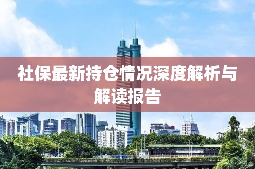 社保最新持仓情况深度解析与解读报告