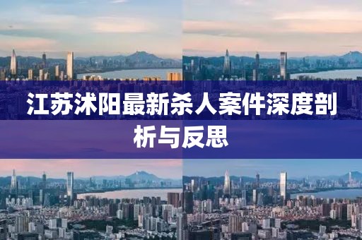 江苏沭阳最新杀人案件深度剖析与反思