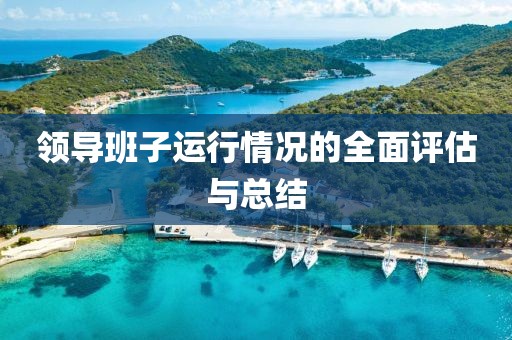 领导班子运行情况的全面评估与总结