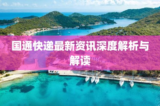 国通快递最新资讯深度解析与解读