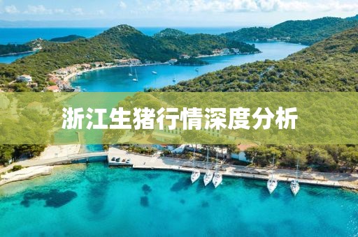 浙江生猪行情深度分析