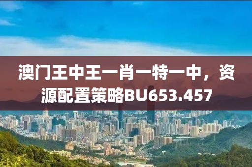澳门王中王一肖一特一中，资源配置策略BU653.457