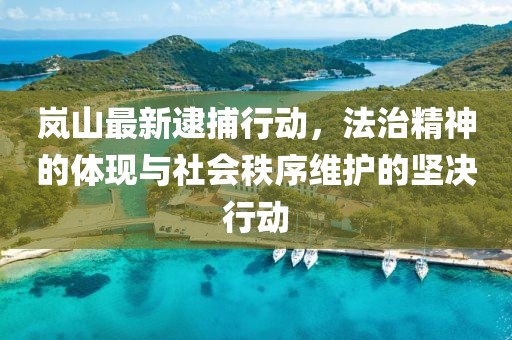 岚山最新逮捕行动，法治精神的体现与社会秩序维护的坚决行动