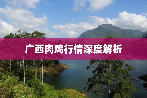 广西肉鸡行情深度解析