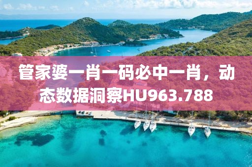 管家婆一肖一码必中一肖，动态数据洞察HU963.788
