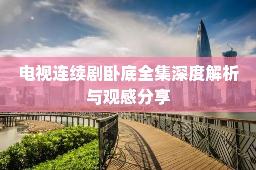 电视连续剧卧底全集深度解析与观感分享