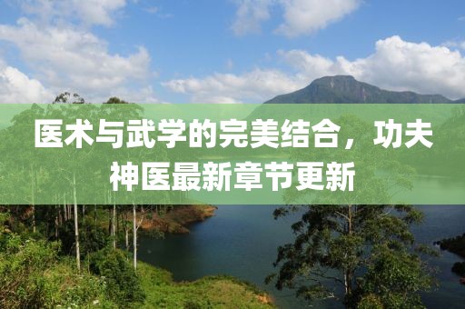 医术与武学的完美结合，功夫神医最新章节更新