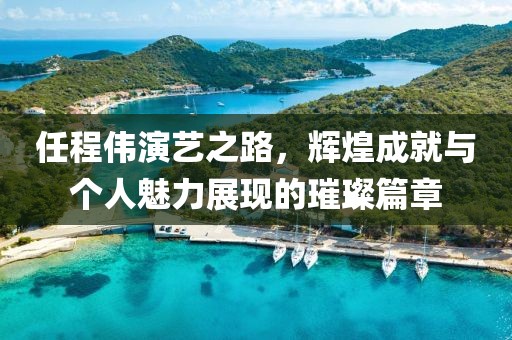 任程伟演艺之路，辉煌成就与个人魅力展现的璀璨篇章