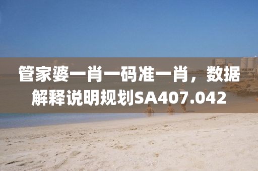 管家婆一肖一码准一肖，数据解释说明规划SA407.042